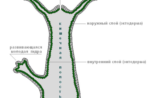 Ссылка кракен kr2web in