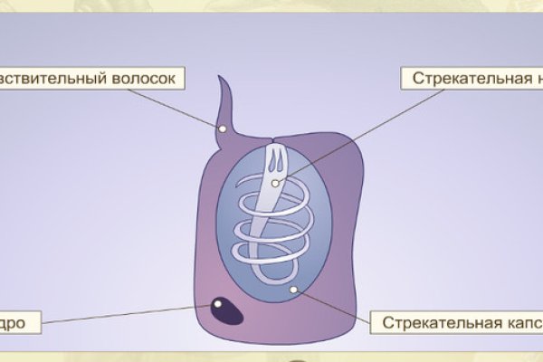 Кракен запрещенные вещества