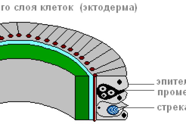 Сайт кракен зайти