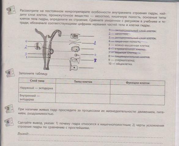 Магазин кракен в москве наркотики