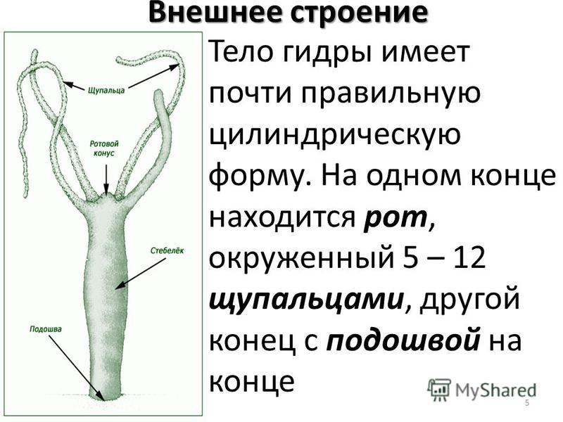 Кракен наркоман